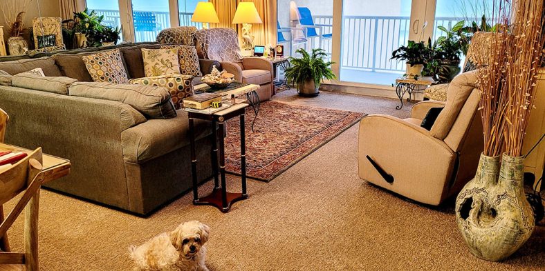 Which Rug Materials You Should Avoid When Buying A Rug