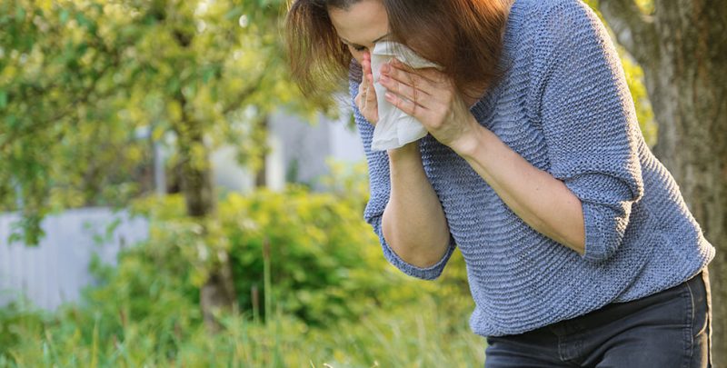What Is The Reason Do We Get Allergies?