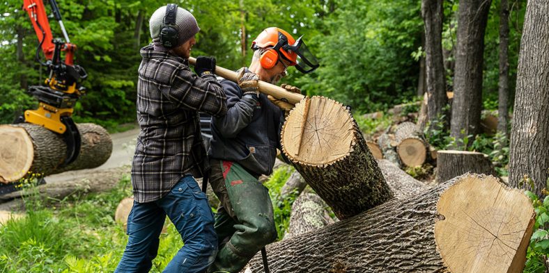 Start your Own Tree Service Company