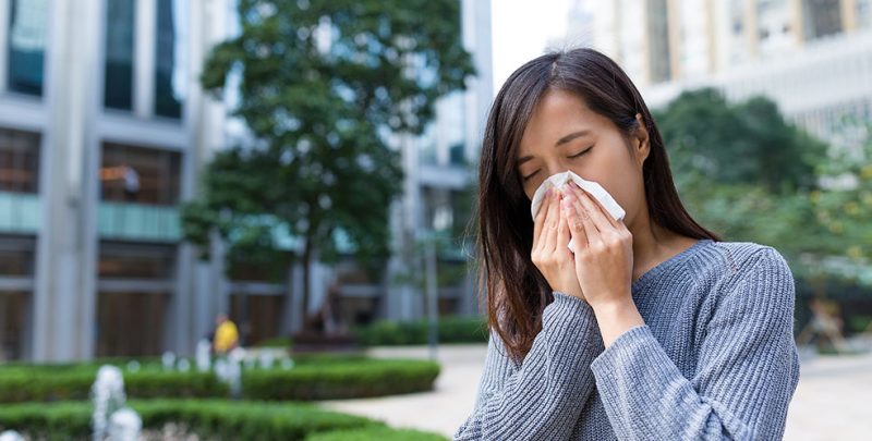 Fall Allergy – A Fear to Many during the fall